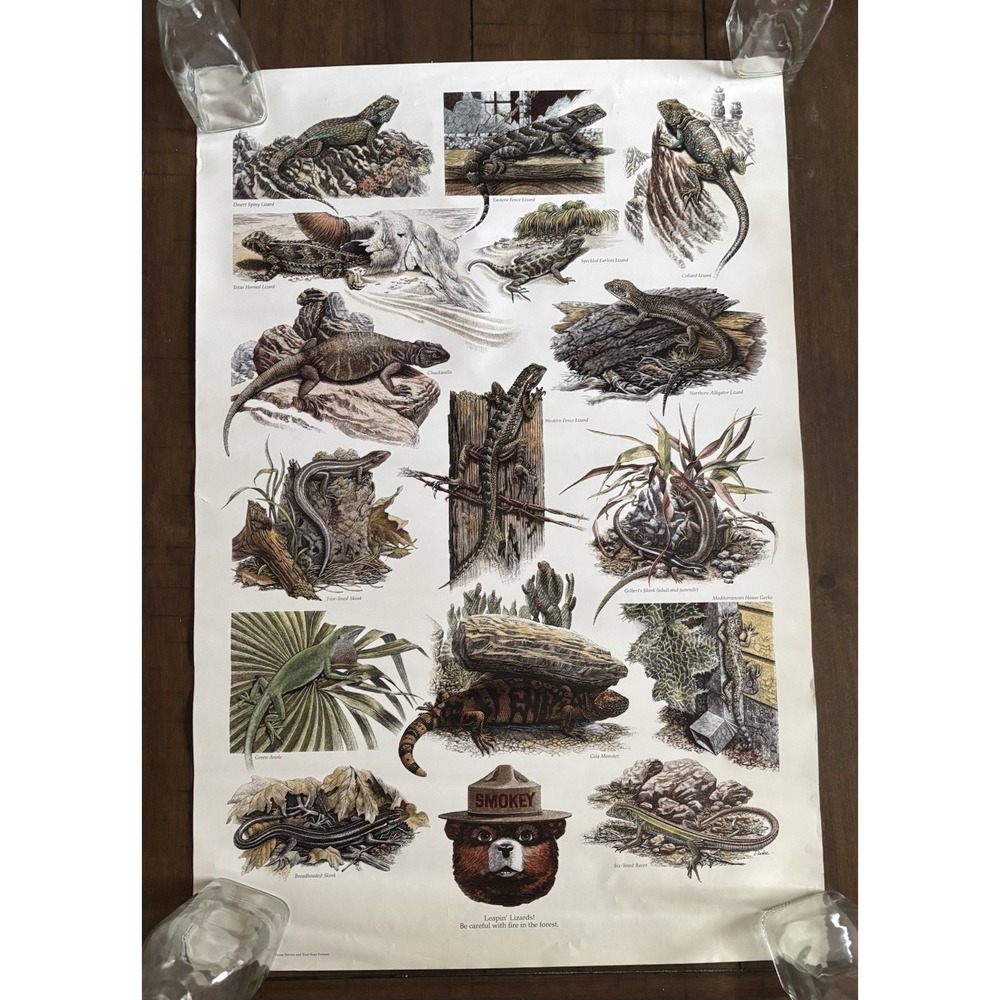 Vintage Smokey The Bear Lizards US Dept Of Agriculture Poster 20"x30"